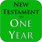 New Testament In A Year